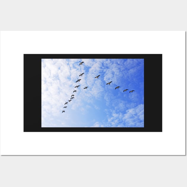 Geese in V formation Wall Art by Graz-Photos